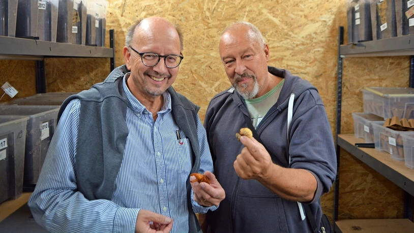 Jürg Grunder (links) und Daniel Ambühl präsentieren ihre Insekten.