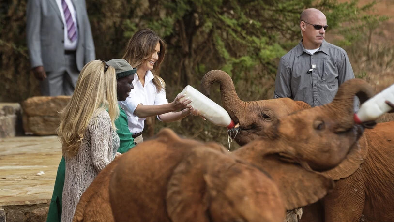 US-First Lady Melania Trump hat in Kenia elternlosen Elefantenbabys besucht.