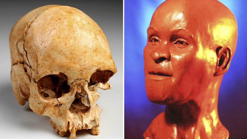 Wissenschaftler haben nach dem Grossbrand im Nationalmuseum in Rio de Janeiro Teile eines weltbekannten 12'000 Jahre alten Menschen-Skeletts aus den Trümmern gerettet. Der Schädel des Urmenschen "Luzia" sei fast vollständig erhalten. Die Skulptur einer…
