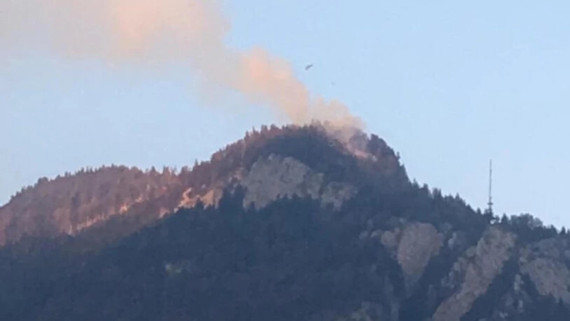 Weit sichtbar: Aus dem Wald über dem Walensee steigt Rauch auf.