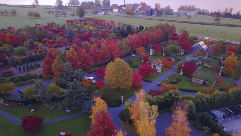 Das Baummuseum von Enzo Enea präsentiert sich auch Mitte November noch in herrlichen Herbstfarben.