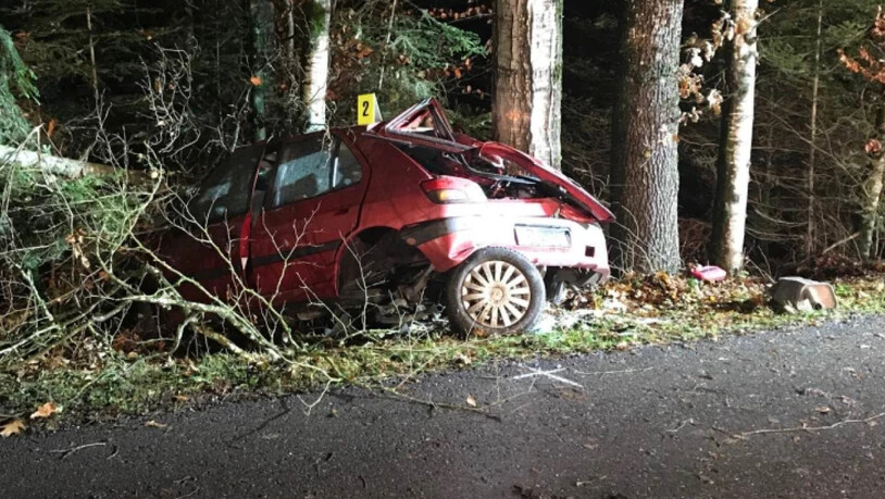 Bei einem Selbstunfall starb am Dienstagabend in Härkingen SO ein 23-jähriger Autofahrer.