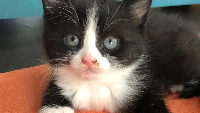 Auch die kleine Emma...