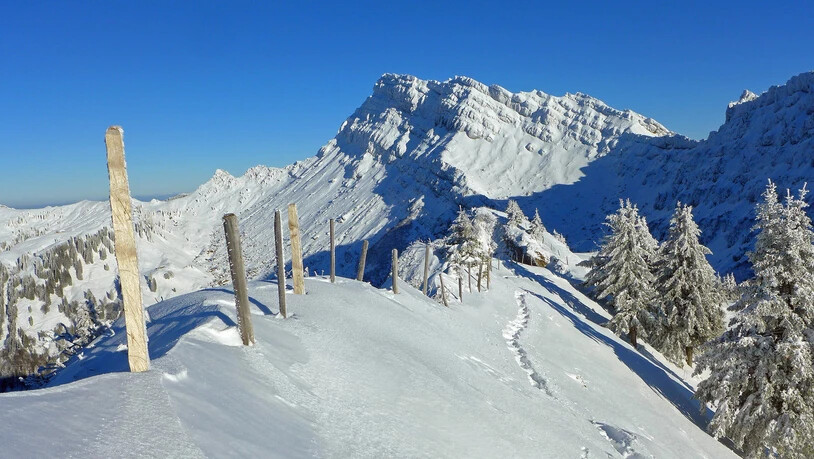 Als Abschluss (und Höhepunkt) der Bergtour stand das Gipfelkreuz auf 1700 Metern Höhe - ein Kunstwerk des Wettergottes.