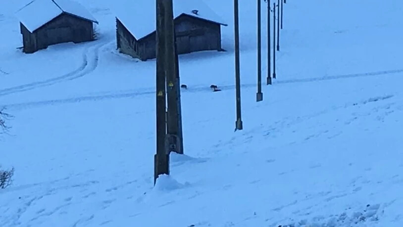Weitere Aufnahmen.