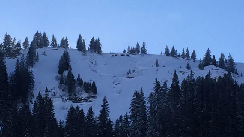 Im Skigebiet Flumserberg, im Bereich Crappawald, waren am Mittwochmittag drei Skifahrer abseits der Piste unterwegs, als sich eine Lawine löste.