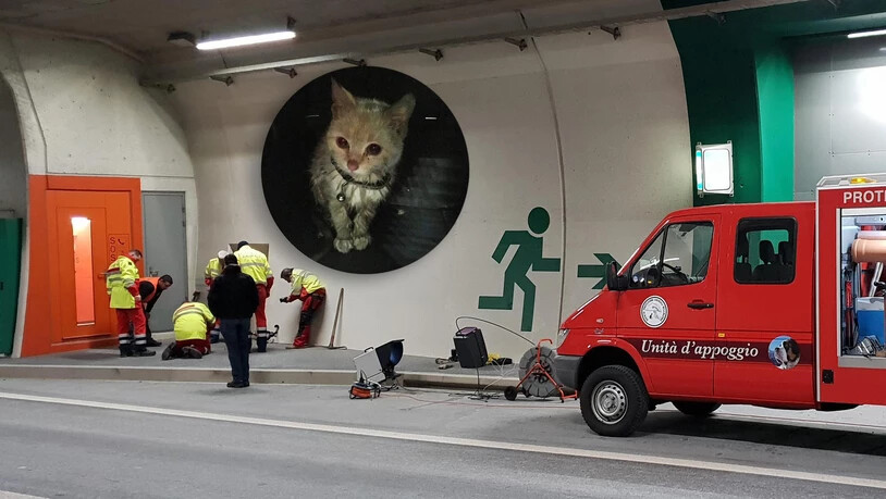Ein ungewöhnlicher Einsatz im San-Fedele-Tunnel.