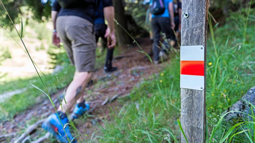 Aufgepasst vor Zecken: Wer ab März in der Natur unterwegs ist, sollte feuchte Laub- und Mischwälder, Sträucher und Büsche sowie hohes Gras so gut es geht meiden.