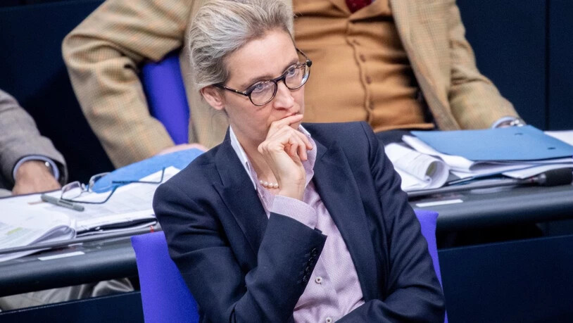Gegen die AfD-Fraktionsvorsitzende Alice Weidel wird wegen Verstosses gegen das Parteiengesetz ermittelt. Foto: Kay Nietfeld/dpa +++ dpa-Bildfunk +++