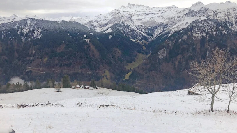 Die Orenplatte: Das Musikhotel würde oberhalb der Ferienhäuser in der Bildmitte gebaut.