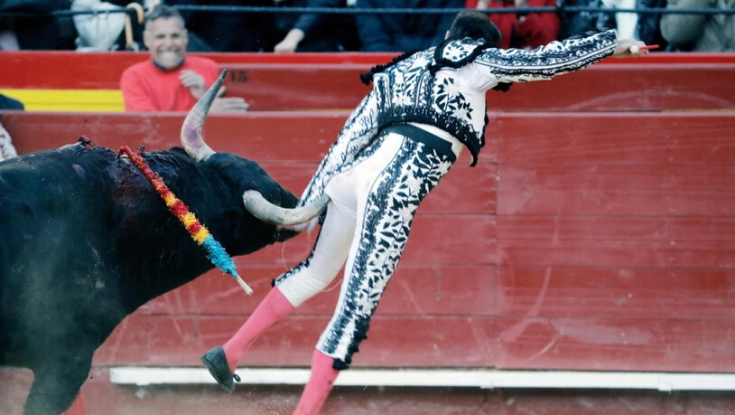 Enrique Ponce wurde zunächst von dem Stier am Gesäss aufgespiesst und fiel dann so unglücklich, dass er sich das linke Bein verdrehte.