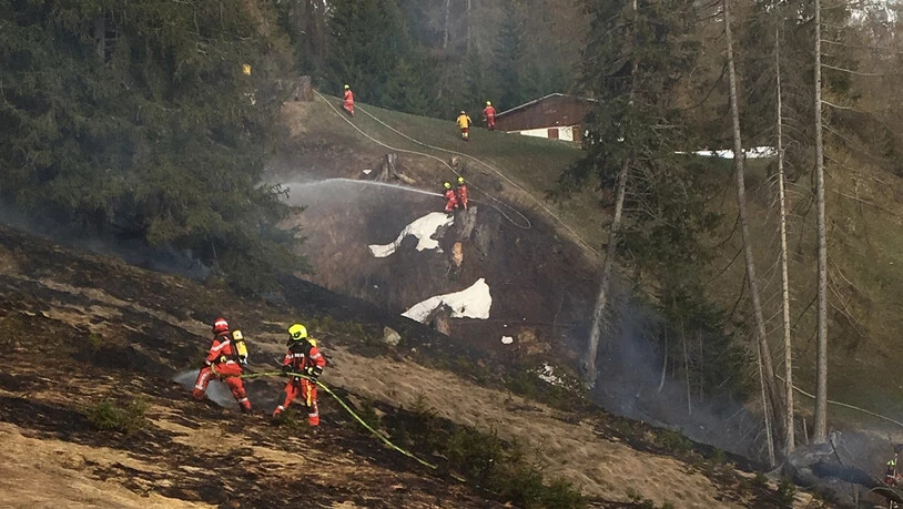 Oberhalb von Scheid ist eine Fläche von 100 mal 150 Meter abgebrannt.