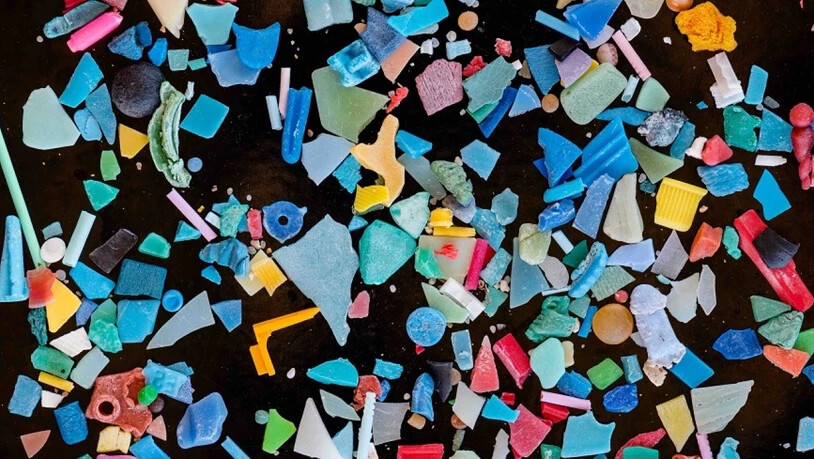 Beim Verwittern und durch Abrieb kann Plastik in winzige Teile zerbröckeln. So gelangt das Mikroplastik auch leicht in die Mägen von Fischen und anderen Organismen.