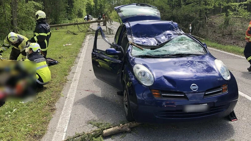 Ein Baum ist in Wallenried FR auf ein fahrendes Auto gefallen und hat die Beifahrerin getötet.