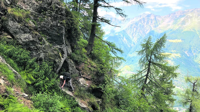 Zur Sasc-Furä-Hütte wandert man neu durch das Gebiet Salecina in die obere Val Trubinasca.