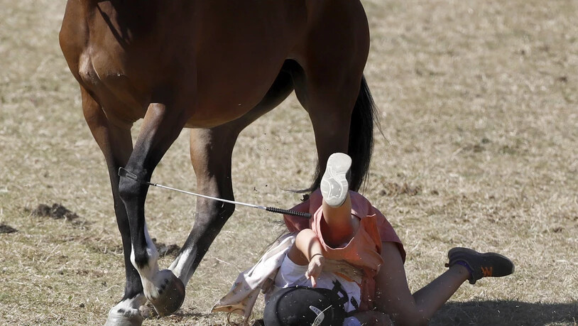 Ein Sturz beim Galopp am Marché-Concours in Saignelégier im letzten Jahr. Jedes Jahr verunfallen 8000 Reiterinnen und Reiter mit ihren Pferden. Für Mädchen handelt es sich um die gefährlichste Sportart überhaupt.(Archivbild)