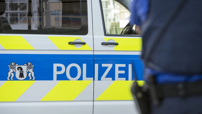 Der Angreifer verhielt sich auch gegenüber den Beamten der Kantonspolizei Basel-Stadt aggressiv. (Archivbild)