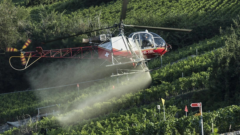 Pestizide mit den Wirkstoffen Chlorpyrifos und Chlorpyrifos-methyl sollen künftig in der Landwirtschaft nicht mehr verwendet werden dürfen. (Archivbild)