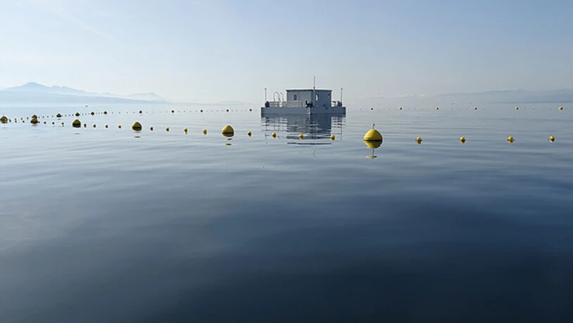 Von Bojen vor dem Schiffsverkehr geschützt schwimmt die Forschungsstation "Léxplore" auf dem Genfersee.