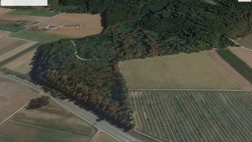 Auf dem Google Earth-Foto des selben Ortes von Ende Juli 2018 sind die Laub-Verfärbungen deutlich sichtbar.