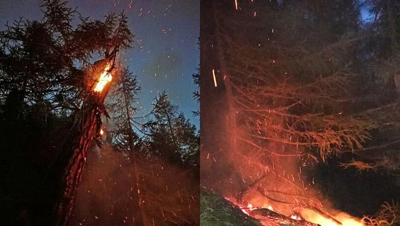 In einem Lärchenwald im Kanton Wallis wurde am 13. September 2018 um 00:38 Uhr ein Brand entdeckt. WSL-Forschende fanden heraus, dass der ihn auslösende Blitz wahrscheinlich am Tag davor um 23:44 Uhr eingeschlagen hatte, also fast eine Stunde davor.