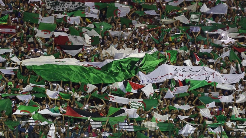 Algeriens Sieg über die Elfenbeinküste am Afrika-Cup wurde in Paris von den algerischen Fans nicht nur friedlich gefeiert