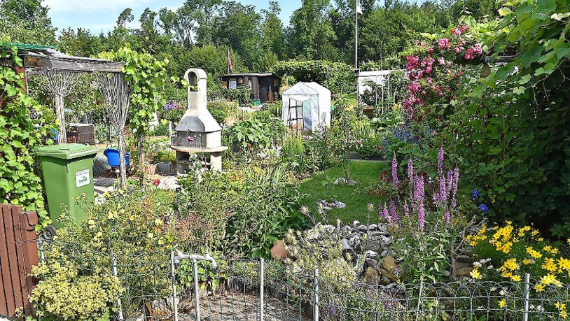 Idyllisch: Die Schrebergärten in Rapperswil-Jona sind beliebt. Wer einen Garten pachten will, muss Geduld aufbringen, denn die Wartelisten sind lang. Bilder Markus Timo Rüegg