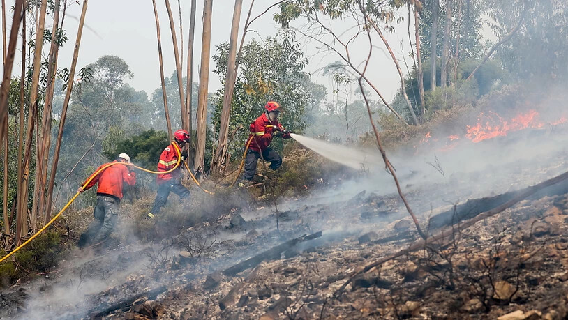 Landesweit waren am Sonntag mehr als 1100 Feuerwehrleute im Einsatz. In fünf Regionen im Zentrum und Süden Portugals galt die höchste Waldbrand-Warnstufe.