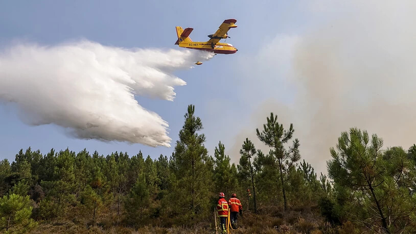 Die Feuerwehr setzte bei der Waldbrandbekämpfung elf Löschflugzeuge und -helikopter ein.