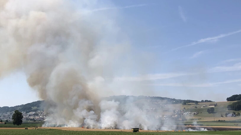 Rund sechs Hektaren eines Kornfelds in Mauensee gerieten am Donnerstagnachmittag in Brand.