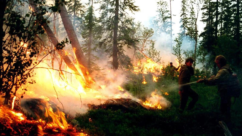 Tosende Flammenhölle in der russischen Taiga: Jetzt sollen noch mehr Flugzeuge bei der Brandbekämpfung helfen. p