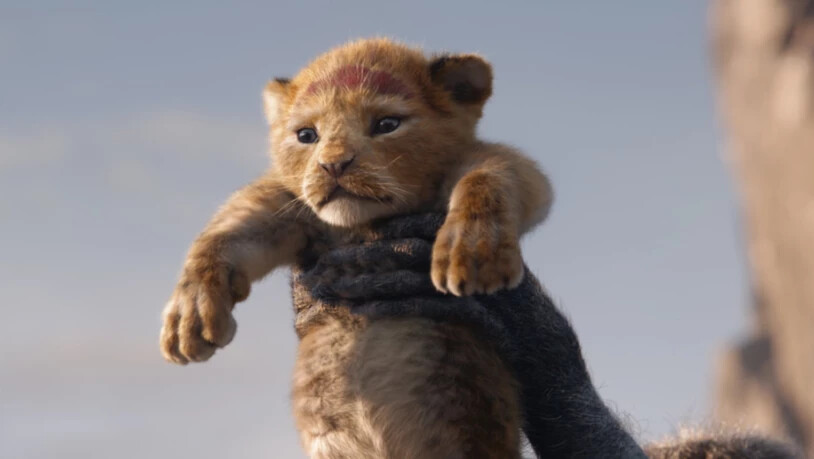"The Lion King" setzte sich am Wochenende vom 8. bis 11. August 2019 nach einem Unterbruch von einer Woche wieder an die Spitze der Deutschschweizer Kinocharts. (Archiv)