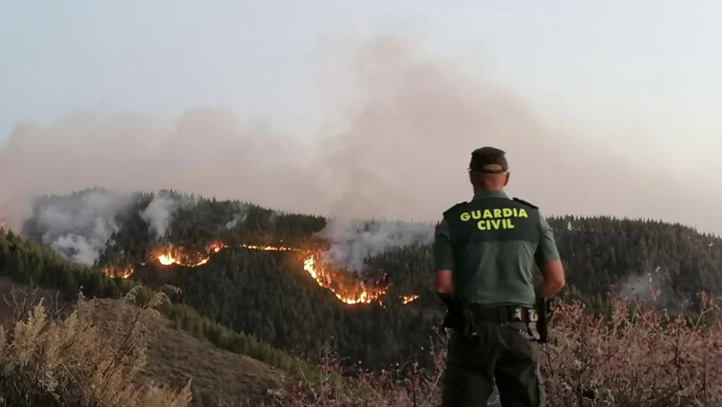 Ein Waldbrand auf der spanischen Ferieninsel Gran Canaria hat bereits eine Fläche von über 1500 Hektar verwüstet.
