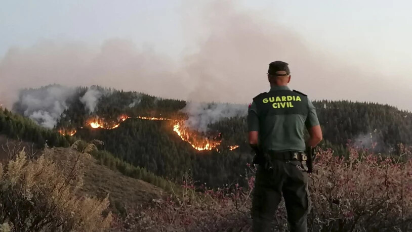 Der Waldbrand auf Gran Canaria war am Wochenende ausgebrochen. Bislang wurden 1500 Hektar Land zerstört. (Archivbild)