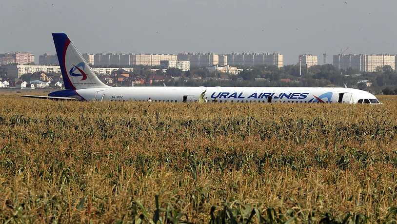 Ein russisches Passagierflugzeug mit mehr als 230 Menschen an Bord ist nach einer Kollision mit Vögeln in der Nähe von Moskau in einem Maisfeld gelandet.