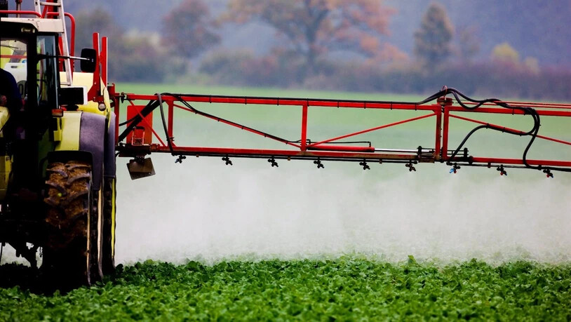 Pestizide und Dünger aus der Landwirtschaft belasten das Grundwasser in der Schweiz. Abbauprodukte finden sich vor allem in Fassungen im Ackerbaugebiet des Mittellandes. (Archivbild)