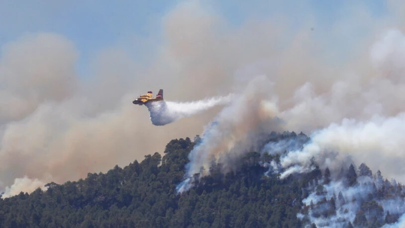 Waldbrand in den Bergen eingedämmt: Auf Gran Canaria geben die Behörden für die Bewohner Entwarnung. (Archivbild)