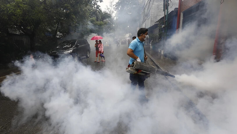 In der Region von Manila versucht das Gesundheitsministerium die Stechmücken zu vernichten, die das Dengue-Virus übertragen.