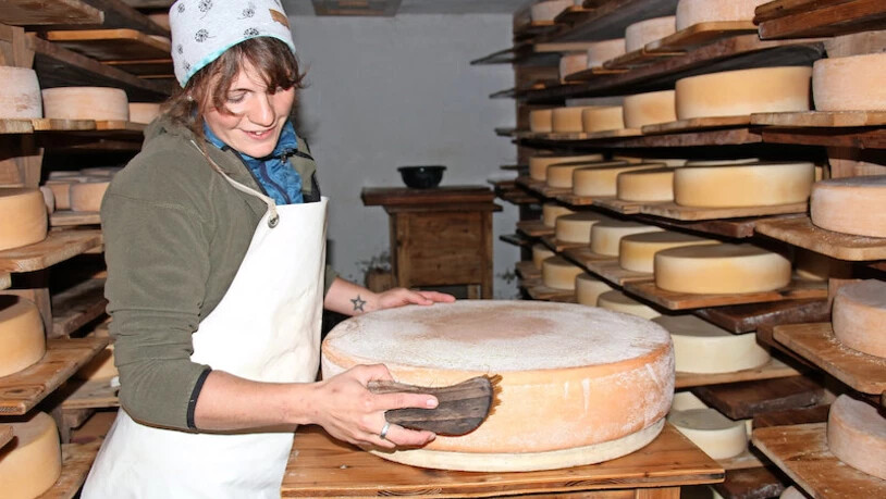 Tägliche Arbeit: Gabi Freuler pflegt und wendet die Laibe im Käsekeller.Bild: Madeleine Kuhn-Baer