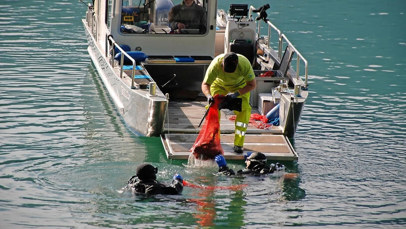 Die Taucher packen kleineren Unrat in Säcke, um ihn am Ufer zu entsorgen. Pneus oder Fässer hingegen werden aus dem See gezogen.