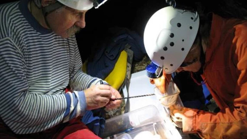 Höhlenforscherinnen und -forscher halfen dabei, Flohkrebse in Höhlensystemen zu sammeln.