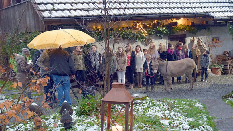 Der Kinderchor Kaltbrunn steht vor seinem nächsten grossen Auftritt: Am Weihnachtskonzert in Zürich und Glarus treten die rund  20 Mitglieder auf. Das Bild zeigt den Chor beim weihnachtlichen Fernsehauftritt mit Esel vor zwei Jahren. 