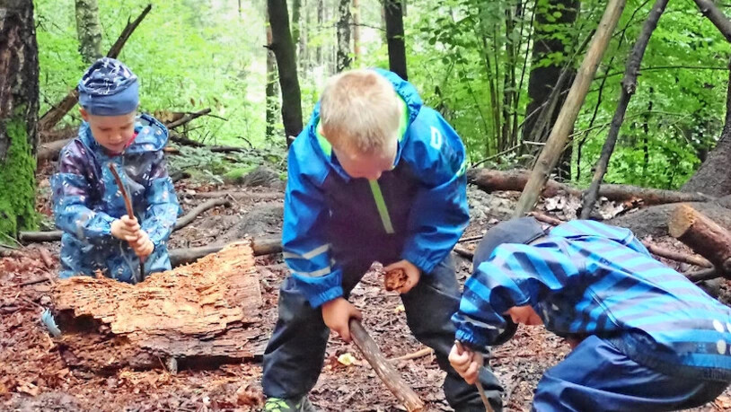Lernen und Spass: Die neuen «Waldkinder» bauen im Elmenwald in Bilten für ihre «Steinchäferli» Häuschen, Rutschbahnen und sogar Swimmingpools.