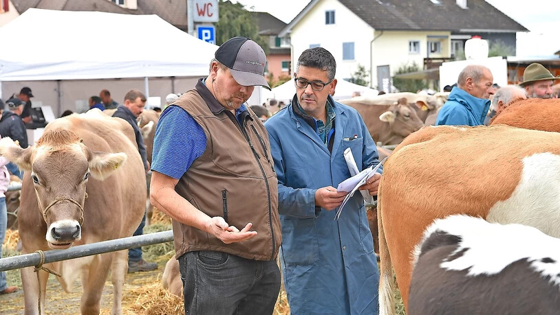 Kurz vor dem Besitzerwechsel: Das wären dann ein-, zwei-, drei-, viertausend Franken...