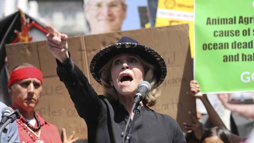 Die US-Schauspielerin Jane Fonda wurde von der schwedischen Klima-Aktivistin Greta Thunberg inspiriert. Das Bild zeigt Fonda an einer Demonstration in Los Angeles am 20. September.