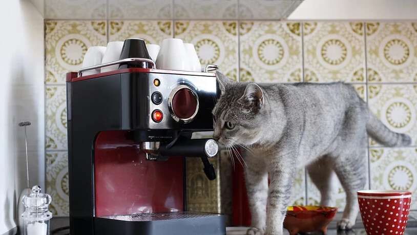 Die Verkäufer von Haushaltsgeräten wie Kaffeemaschinen zeigen sich mit der Ertragslage zufrieden. (Themenbild)