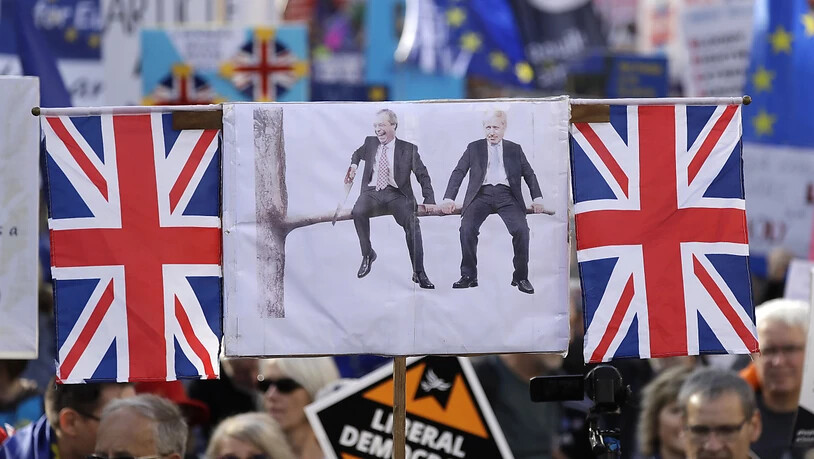 Der britische Premier Boris Johnson und der Brexit-Partei-Chef Nigel Farage, die sich den eigenen Ast absägen - Protestplakat der Brexit-Gegner.