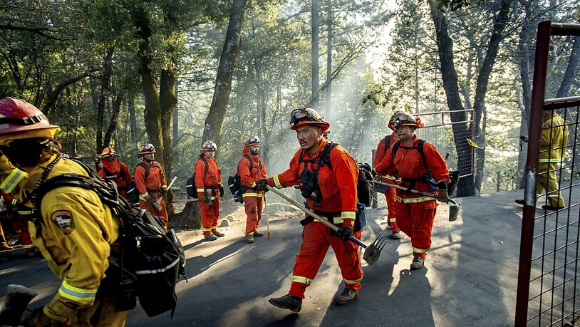 In Kalifornien werden im Bezirk Sonoma im Kampf gegen Buschbrände auch Häftlinge als Feuerwehrleute eingesetzt.