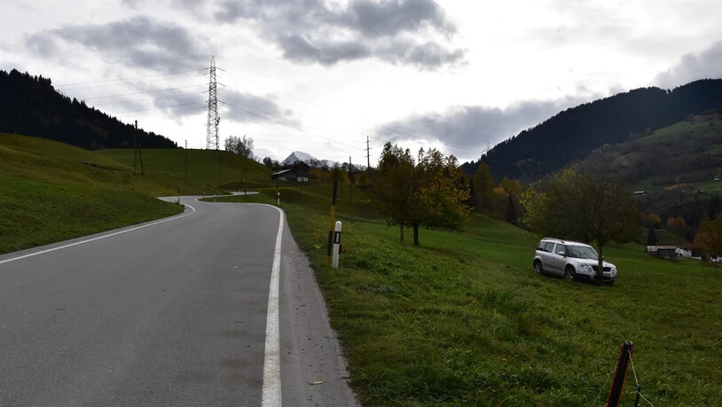 Ein Apfelbaum brachte das Auto nach einer unkontrollierten Fahrt zum stehen.