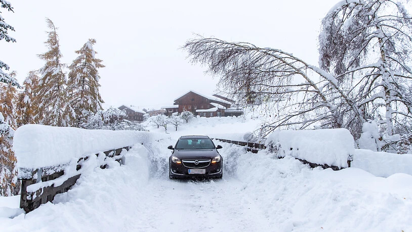 Auf dieser Strasse in Kals am Grossglockner besteht nach den starken Schneefällen die Gefahr, dass Bäume einknicken.